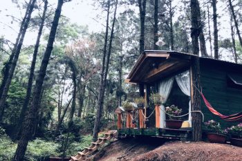 Green Bungalow đồi thông lãng mạn cho cặp đôi