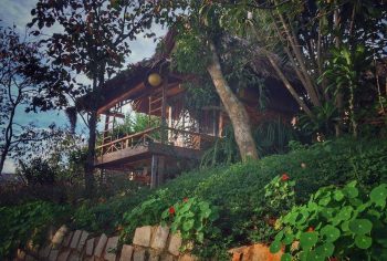 Củi Homestay - yên bình đến lạ Củi Homestay - yên bình đến lạ
