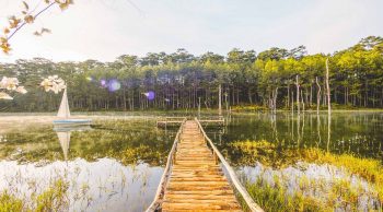 Danh sách những "homestay nhà gỗ ở Đà Lạt" Vạn Người Mê Danh sách những "homestay nhà gỗ ở Đà Lạt" Vạn Người Mê