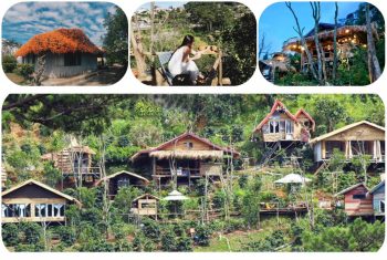 Cú Trên Cây Homestay Cú Trên Cây Homestay