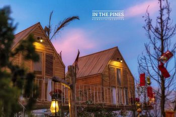 INThePines.DL INThePines.DL