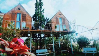 INThePines.DL- Bungalow Đà Lạt siêu xinh INThePines.DL- Bungalow Đà Lạt siêu xinh