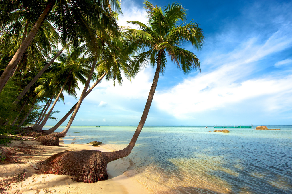 Bãi biển siêu đẹp